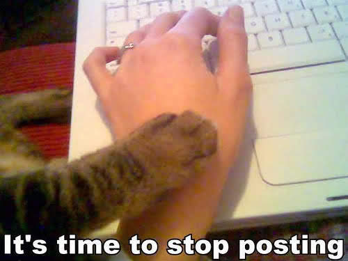 This meme features a picture of a person's hand typing on a keyboard, with a cat's paw on the keyboard. The text "It's time to stop posting" appears below the image, implying that the cat has taken over the person's online activity and is now controlling the keyboard. The meme is humorous and relatable, poking fun at the idea that our pets can be as active online as we are.